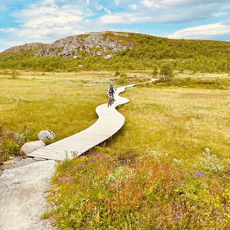 Skiidyll Med Utsikt Og Peis *