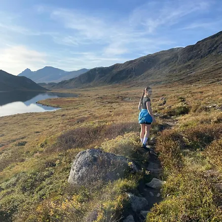 Skiidyll Med Utsikt Og Peis