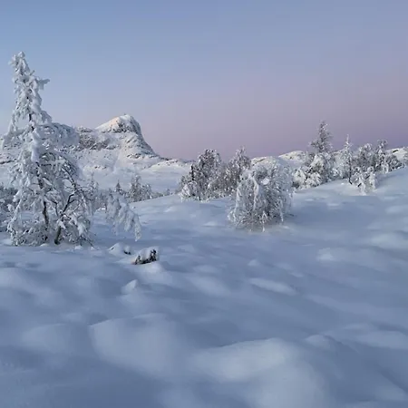 Skiidyll Med Utsikt Og Peis *