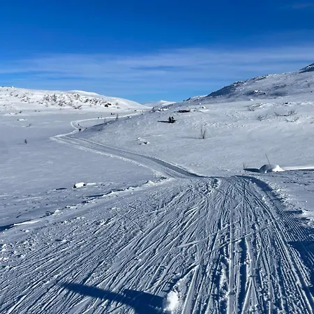 Apartment Skiidyll Med Utsikt Og Peis Beitostolen