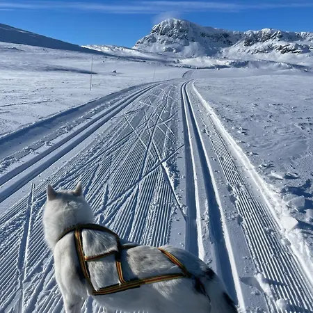 Skiidyll Med Utsikt Og Peis Apartment *