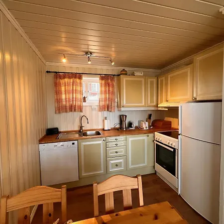 Skiidyll Med Utsikt Og Peis Apartment