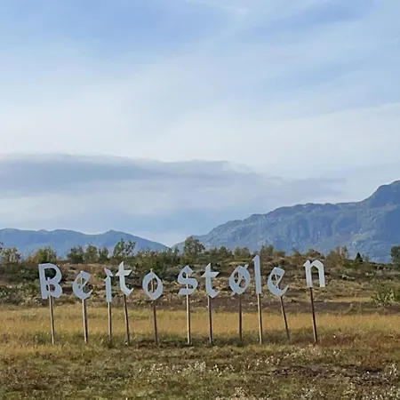 Skiidyll Med Utsikt Og Peis