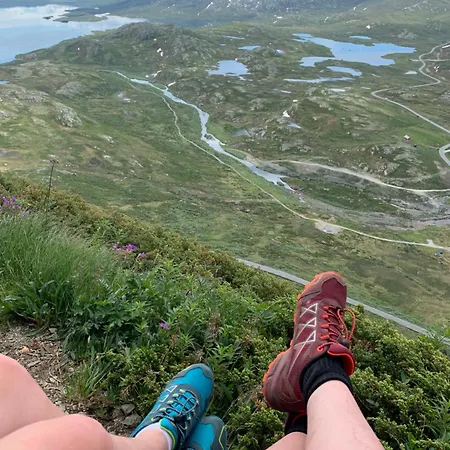 Skiidyll Med Utsikt Og Peis
