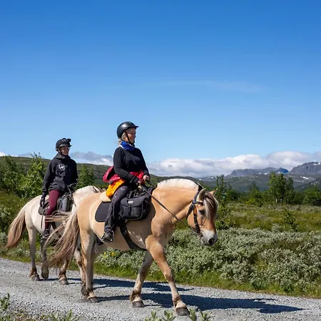 Skiidyll Med Utsikt Og Peis * Beitostolen