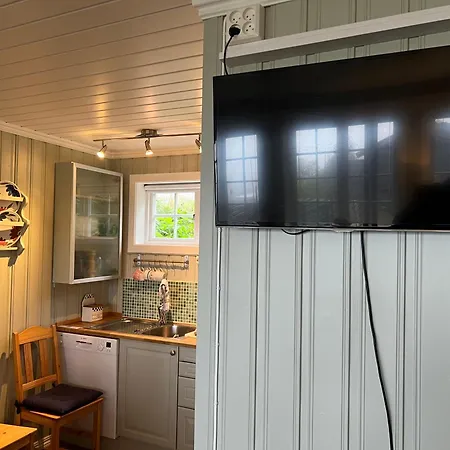 Skiidyll Med Utsikt Og Peis Lejlighed *