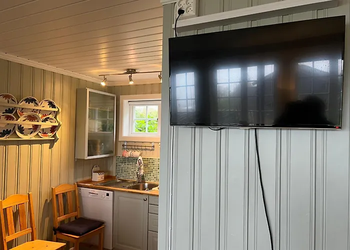 Skiidyll Med Utsikt Og Peis Leilighet *