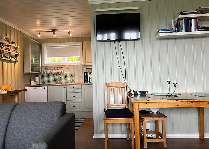 Leilighet Skiidyll Med Utsikt Og Peis